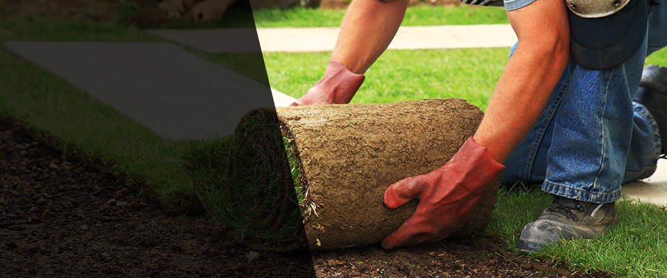 Lenoir City Landscapers